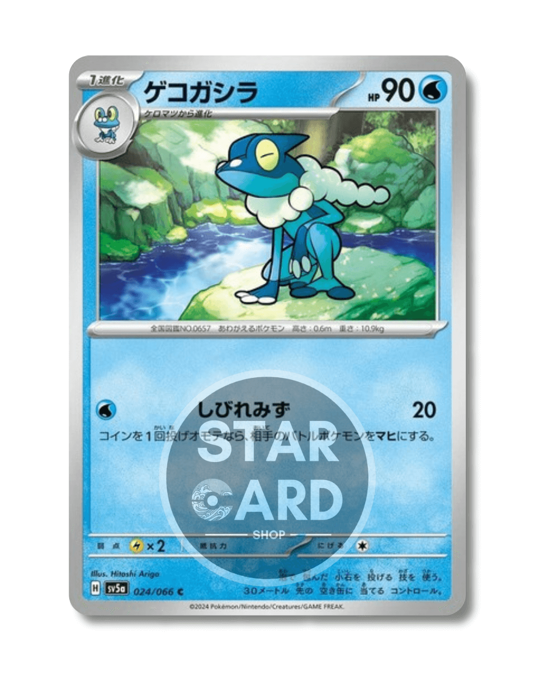 024-066 Frogadier Comune (JP)