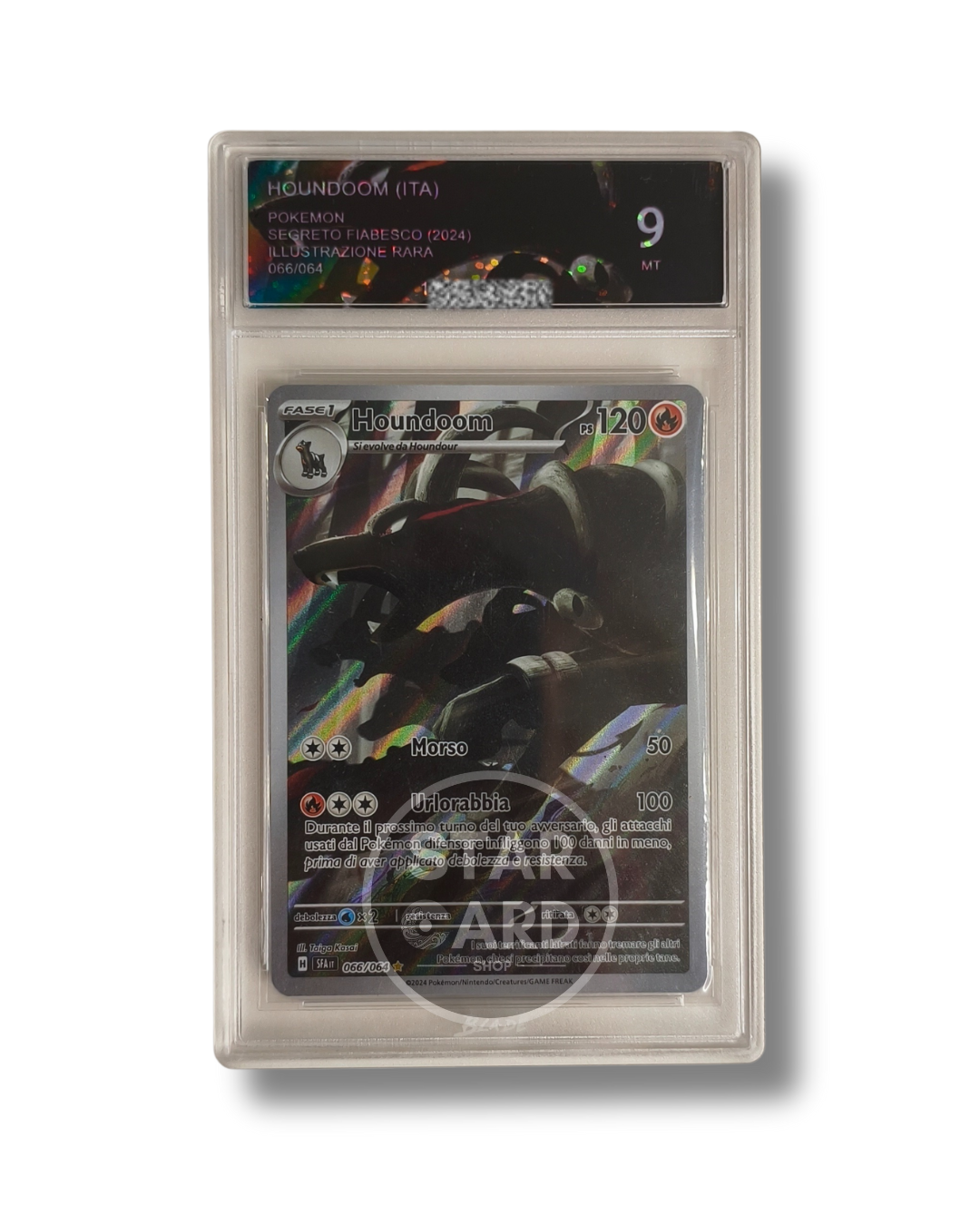 Houndoom ITA 2024 Blade Grading 9 MT