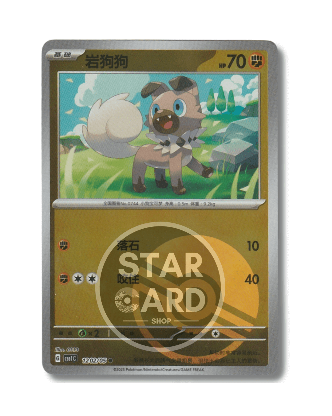 12 02-05 Rockruff Poké Ball Reverse Holo (CHI)