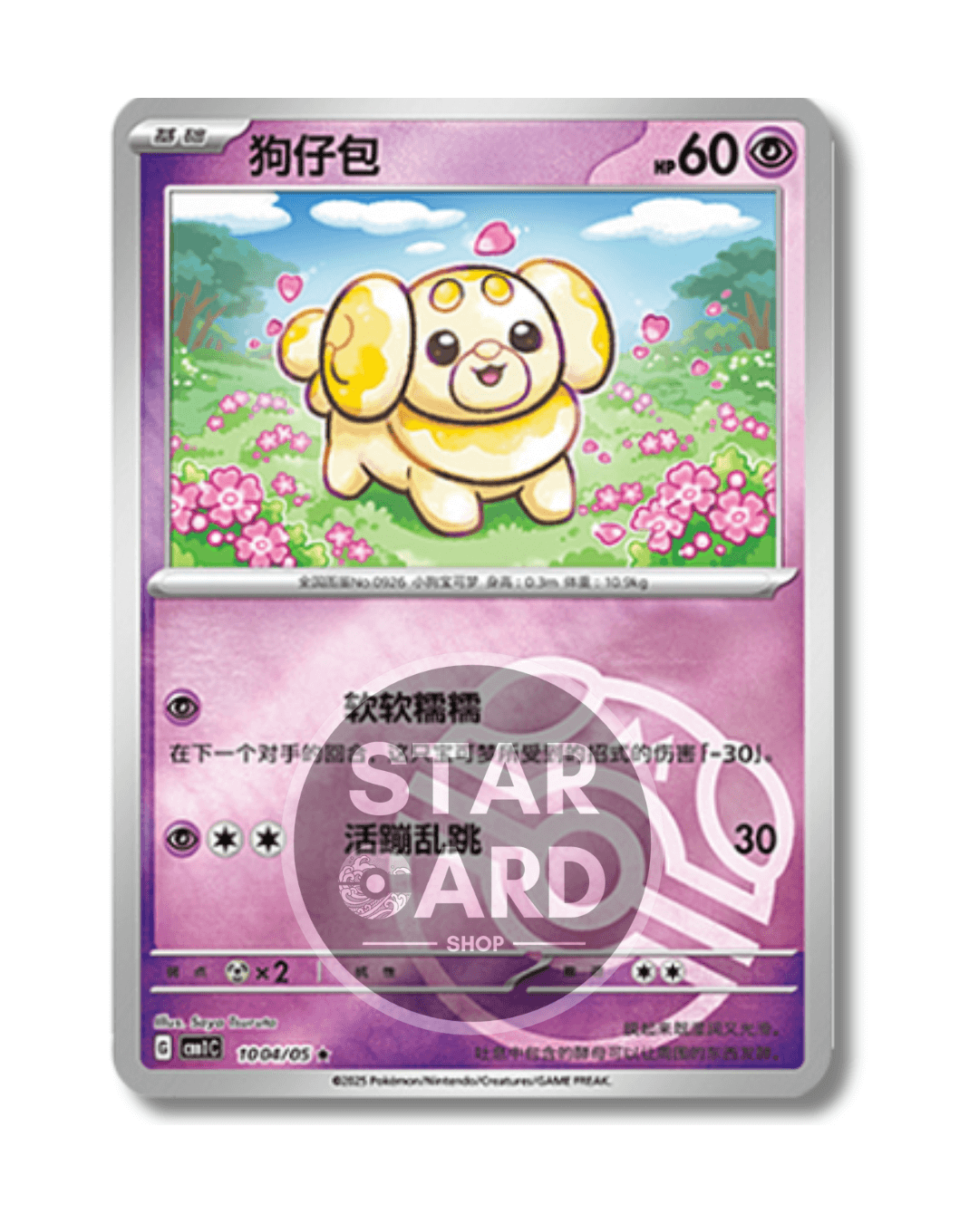 10 04-05 Fidough Master Ball Holo inverso (CN)