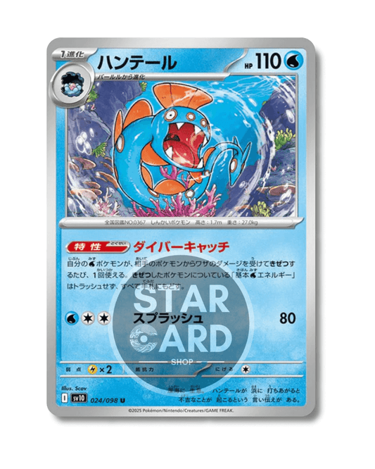 024-098 Huntail Non Comune (JP)